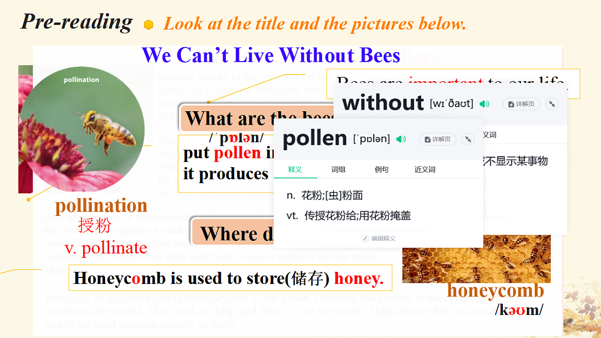 17735406第5页