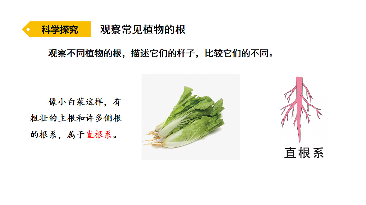 17735854第3页