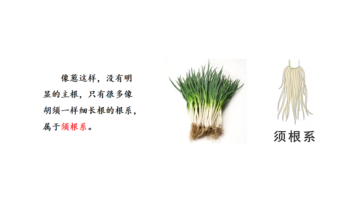 17735854第4页
