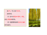 2026年湘教版三年级科学下册 2.9 茎的奇妙（课件）