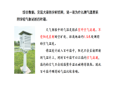 2026年湘教版三年级科学下册 4.16.观测气温（课件）