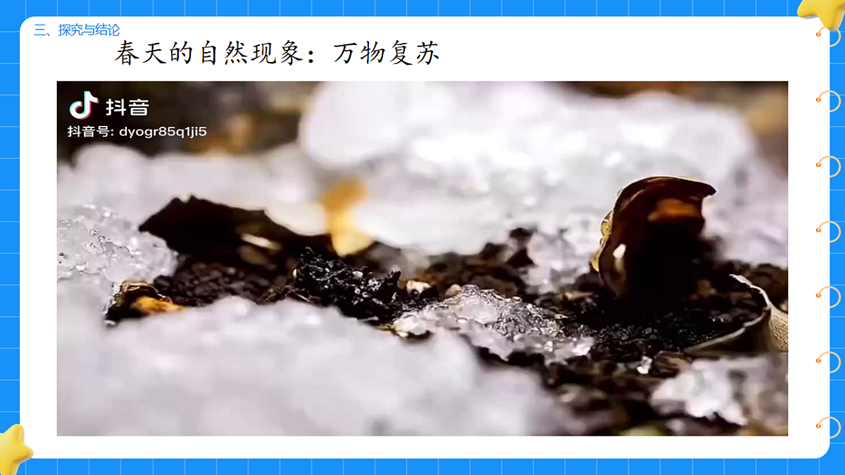 17736011第5页
