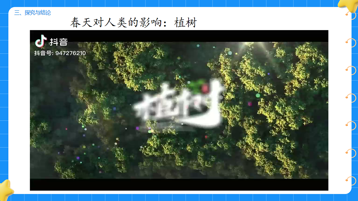 17736011第7页