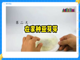 1. 发豆芽 第三单元 小学科学 大象版新教材 二年级下册 课件