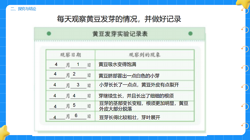 17736229第8页