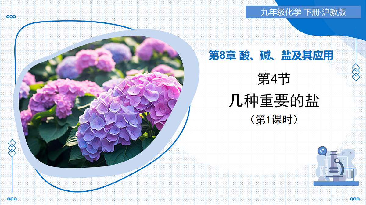 17736646第1页