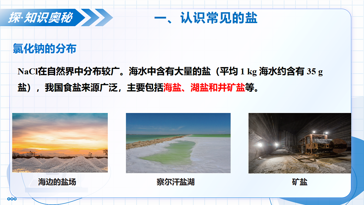 17736647第7页