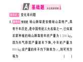 初中数学新沪科版八年级下册  17.5  第2课时 变化率问题与循环问题  作业课件（点出显答案）（2026春）