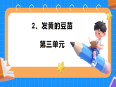2. 发黄的豆苗 第三单元 小学科学 大象版新教材 二年级下册 课件