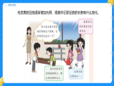 2. 发黄的豆苗 第三单元 小学科学 大象版新教材 二年级下册 课件