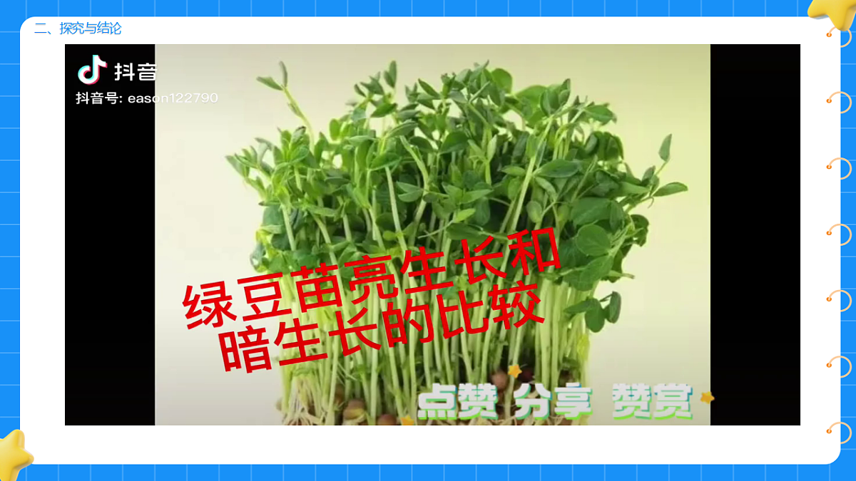 17737043第5页