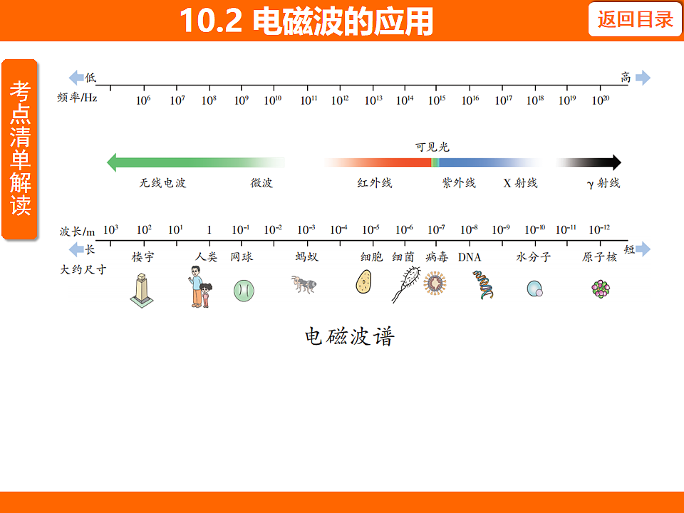 17737048第3页