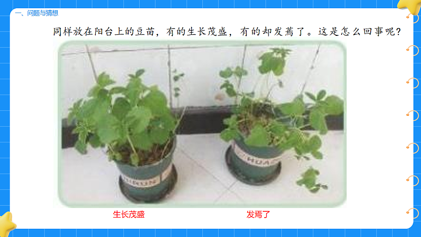 17739634第2页