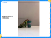 3. 发焉的豆苗 第三单元 小学科学 大象版新教材 二年级下册 课件