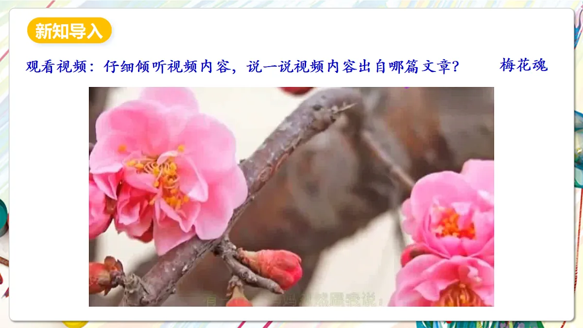 人美版美术五下第十三课 花鸟画（一） 课件第3页
