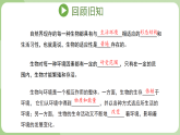 第八单元 8.2.1 生态系统具有一定的结构（教学课件）-2025-2026八年级生物下册（济南版2024）