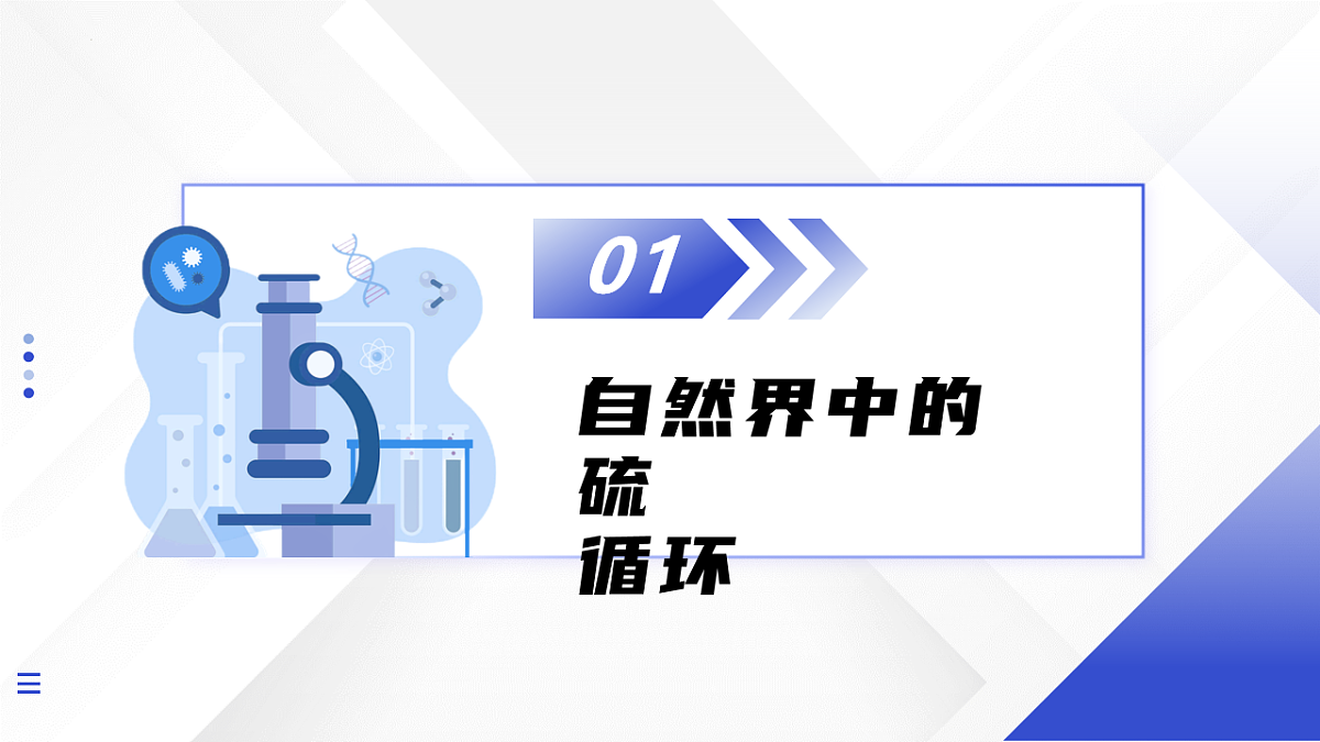 17740423第5页