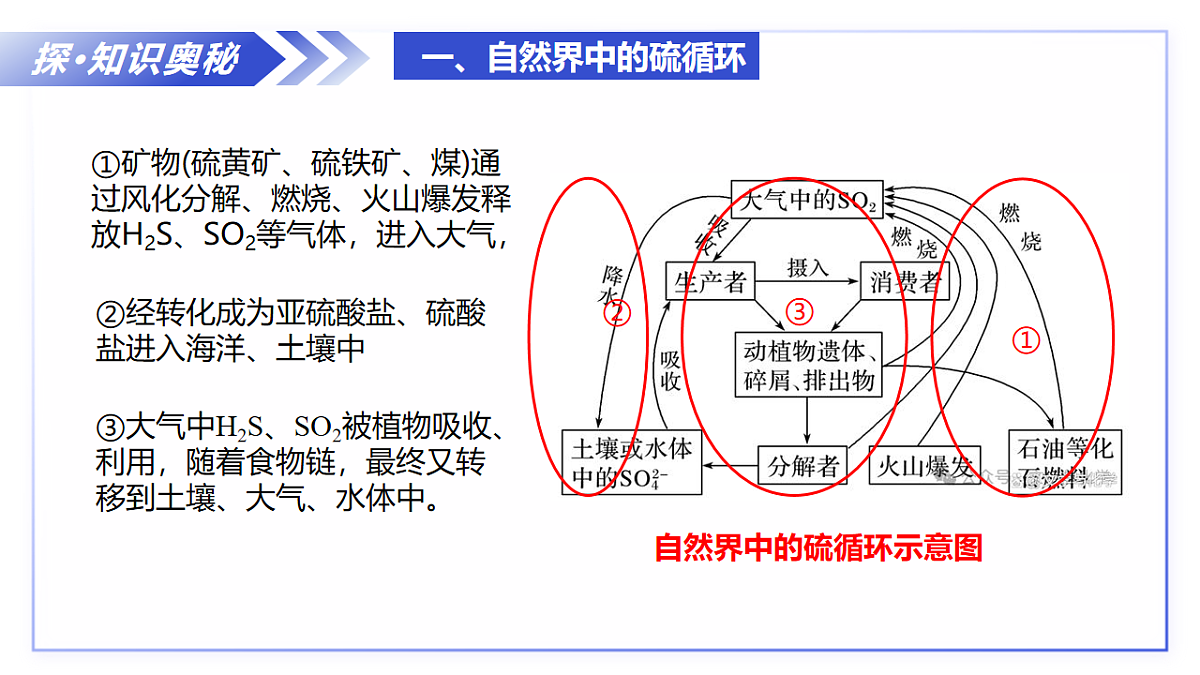 17740423第7页