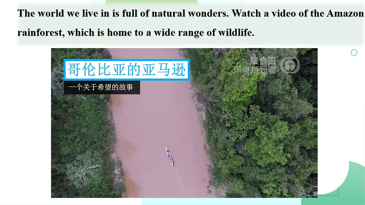 17740529第7页
