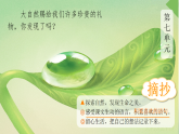 小学  语文  统编版（2024）  三年级上册语文园地七 课件