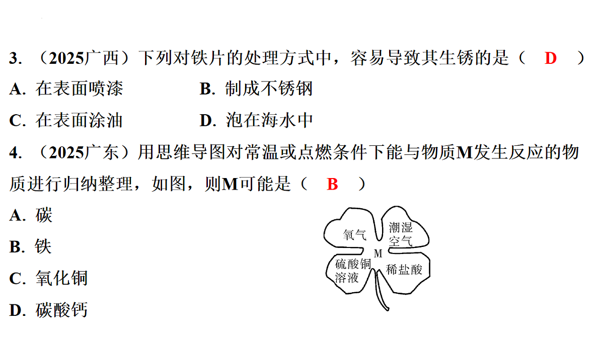 17742338第3页