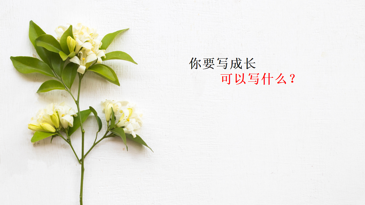 17743811第2页