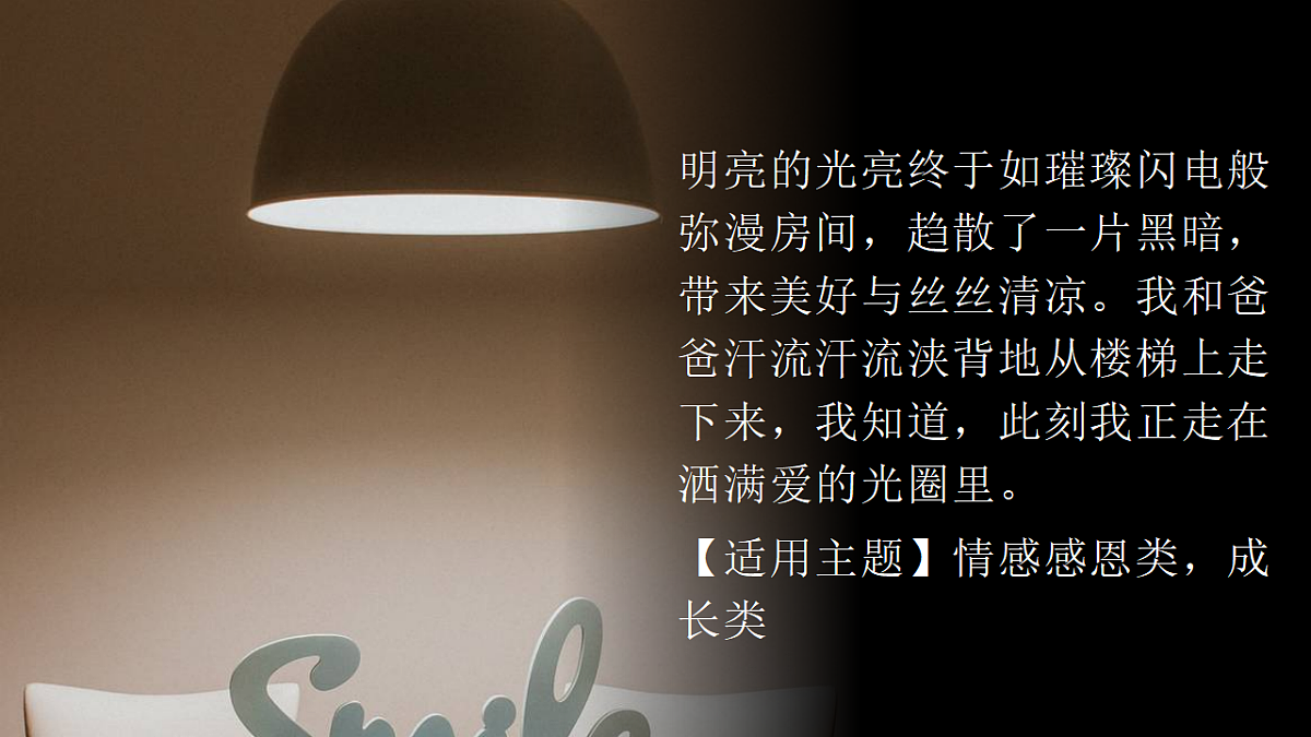 17743811第8页