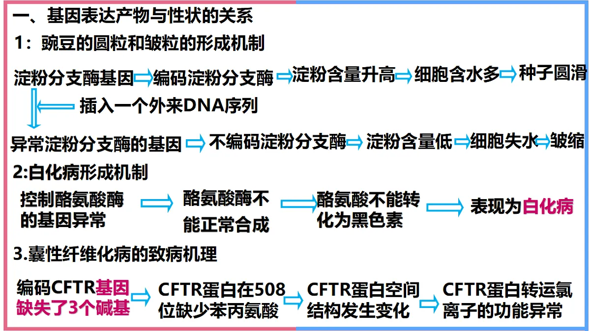 17743820第2页