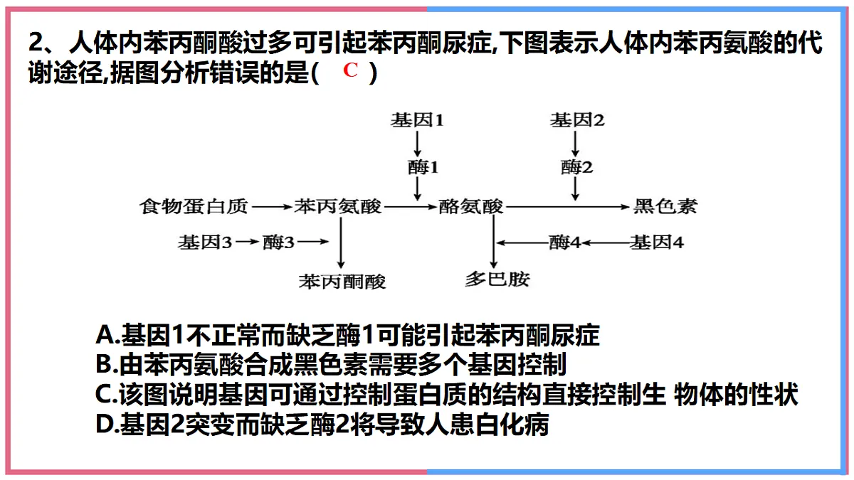 17743820第5页