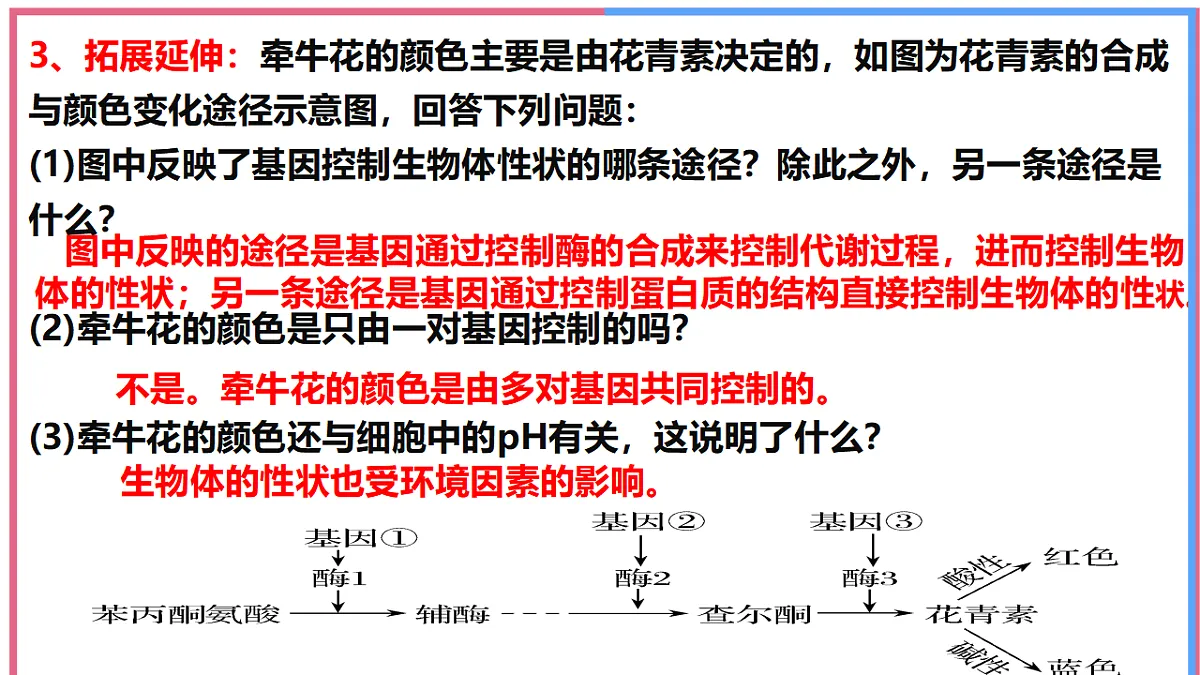17743820第6页