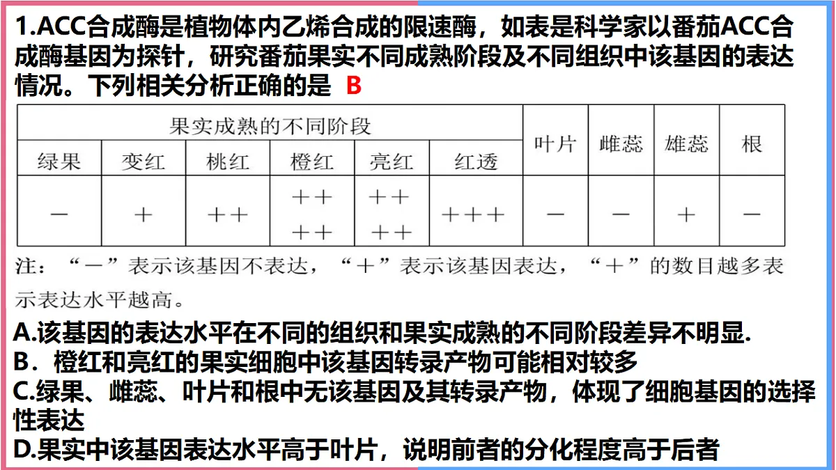17743820第8页