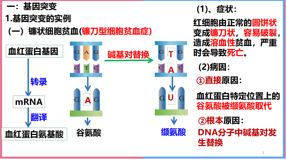 17743821第2页