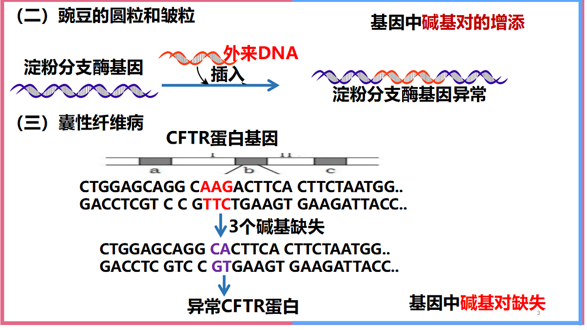 17743821第3页