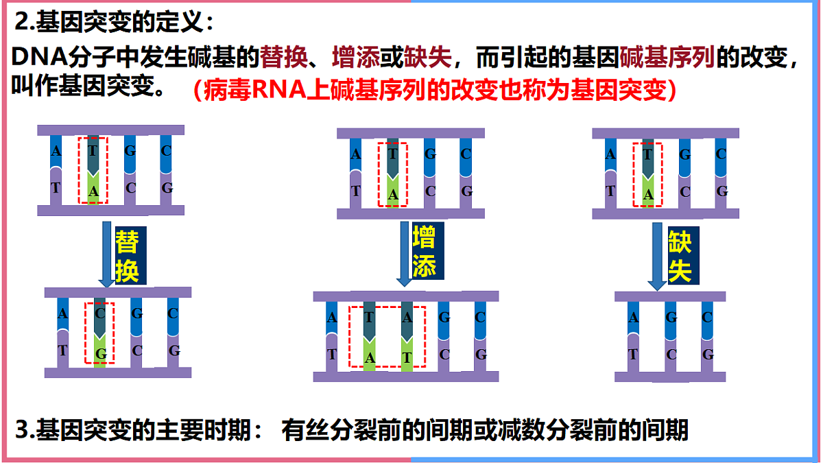17743821第4页