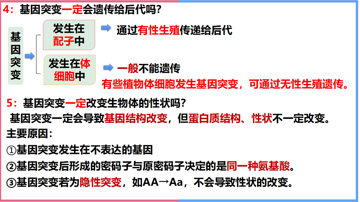 17743821第5页