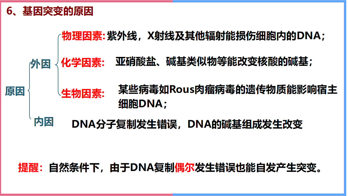 17743821第6页