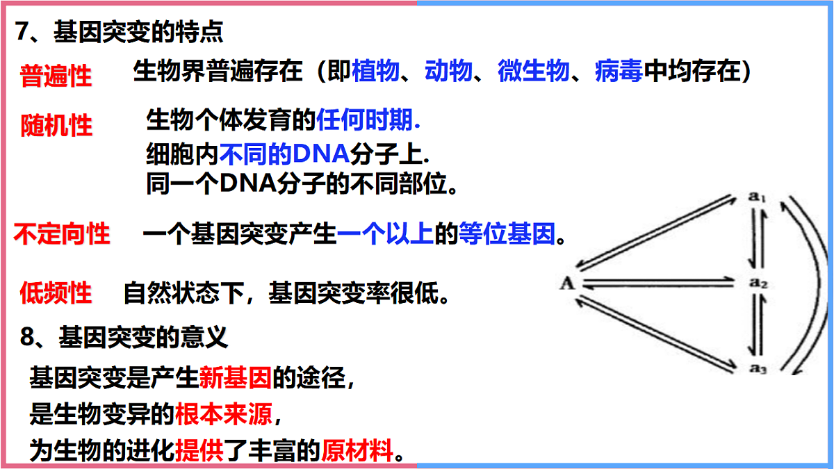 17743821第7页