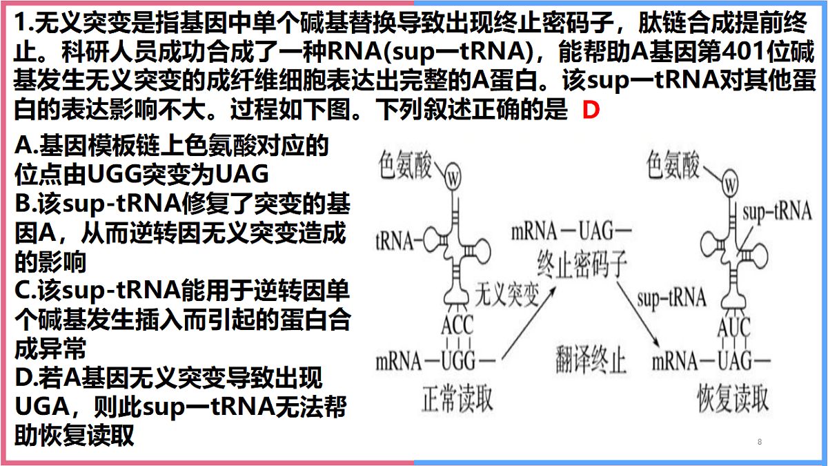 17743821第8页