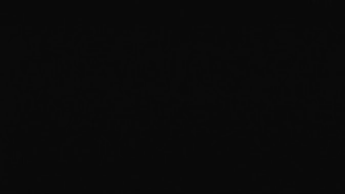 17743846第5页