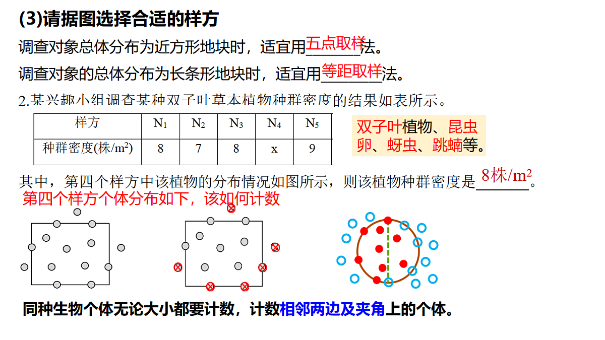 17743847第5页