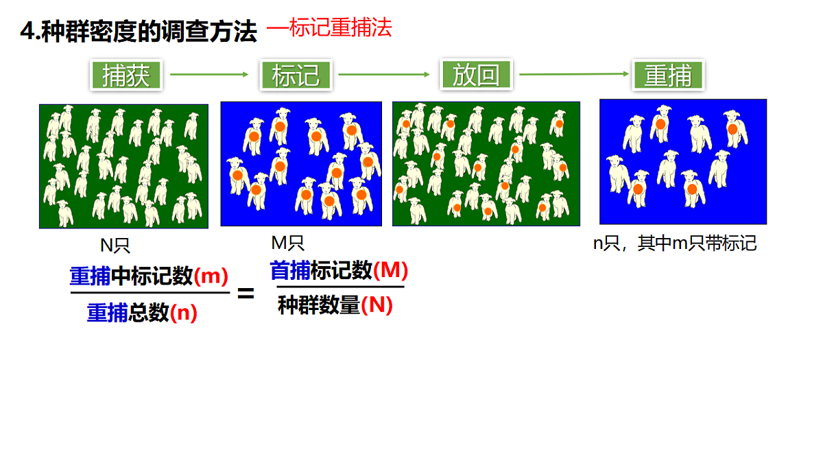 17743847第6页