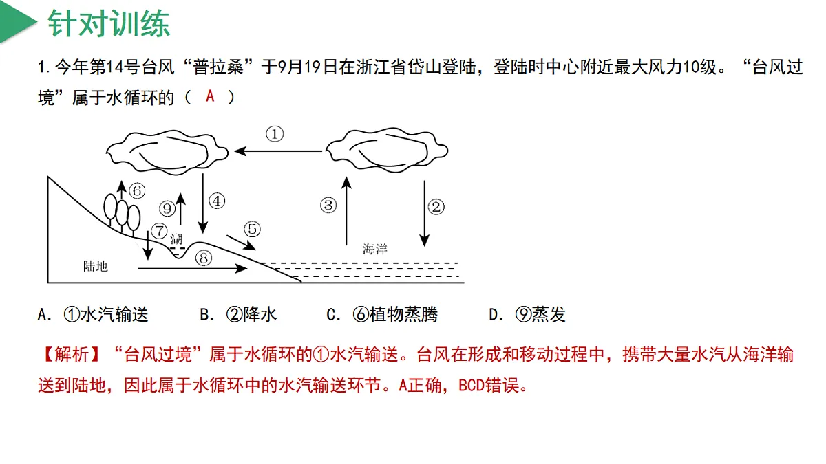 17743939第7页