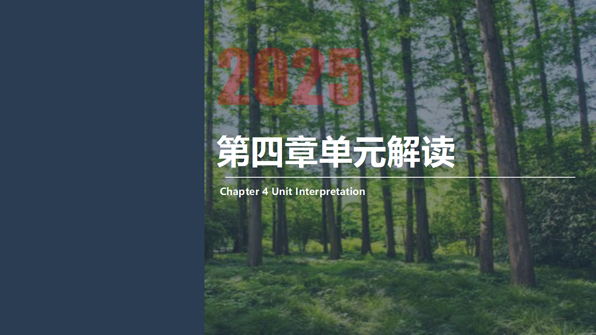 17743949第3页