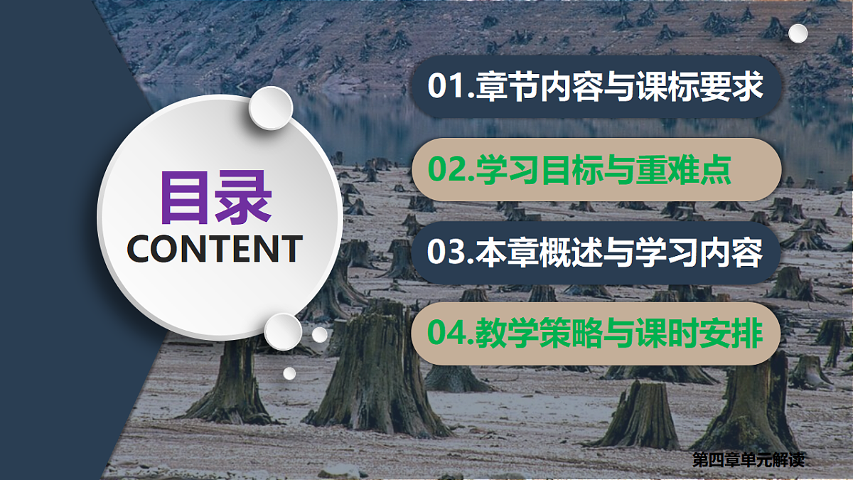 17743949第4页