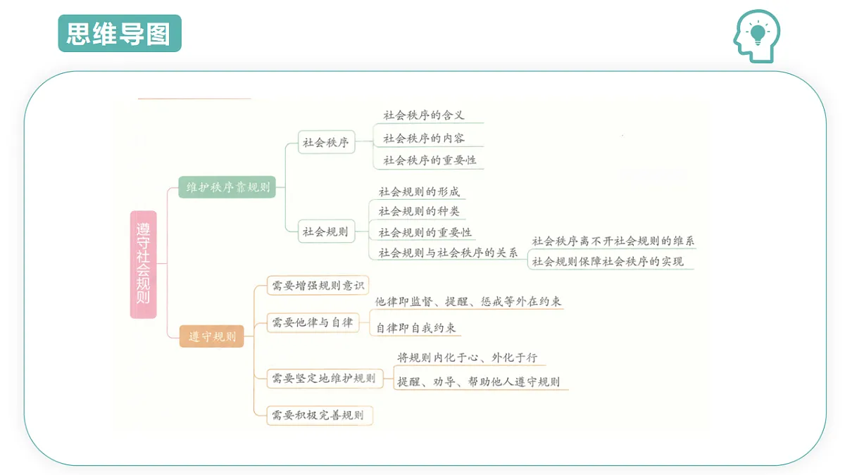 17743995第3页