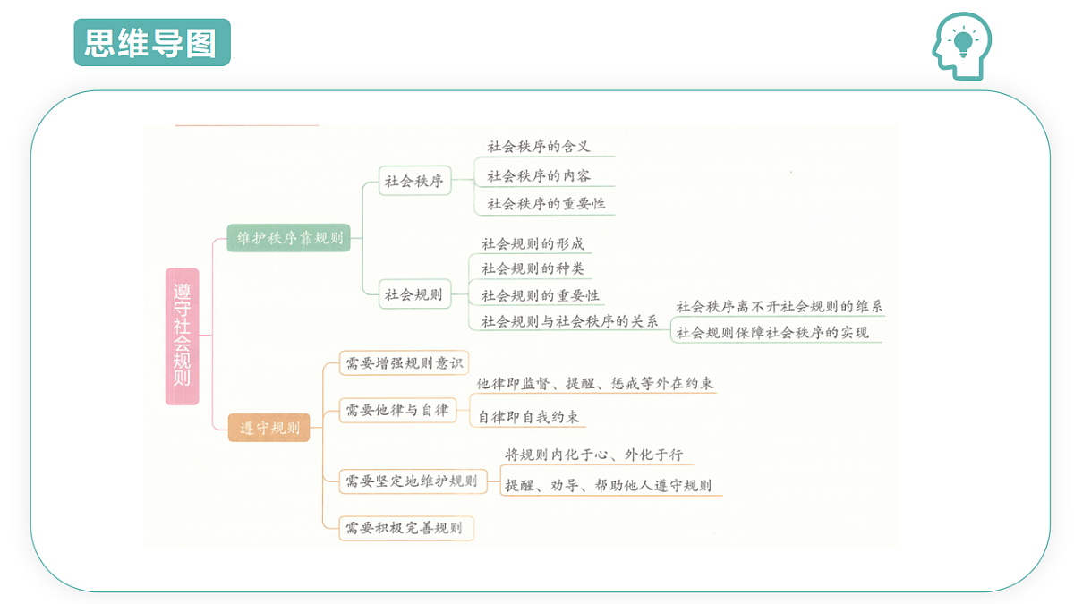 17743995第3页