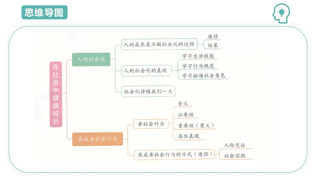 17743996第4页
