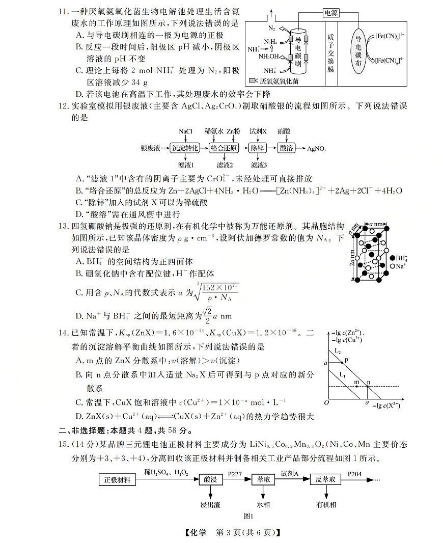 高三化学试题(已优化)第3页