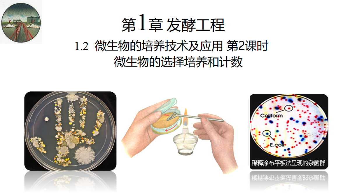 17746250第1页