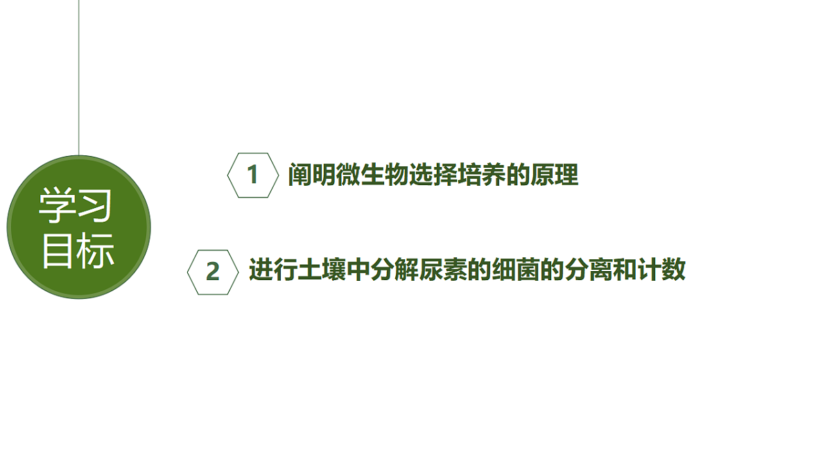 17746250第2页
